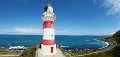 D (153) Cape Palliser